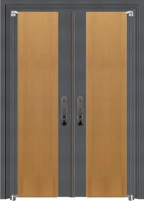 Door 311